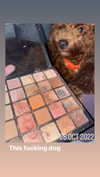 kteaworld Altpins Profile Picture