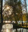 efimkovsskaya Altpins Profile Picture