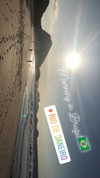 maori_cohen Altpins Profile Picture
