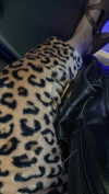 babynympho_archive Altpins Profile Picture