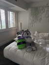 curlyfriesjazz Altpins Profile Picture