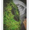 alisen.mari Altpins Profile Picture