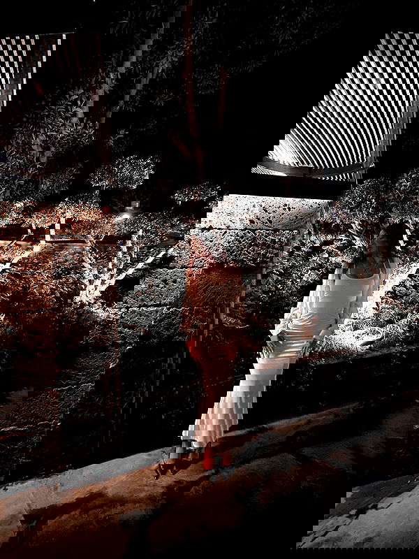 _lil_noa_ _lil_noa_ archive image