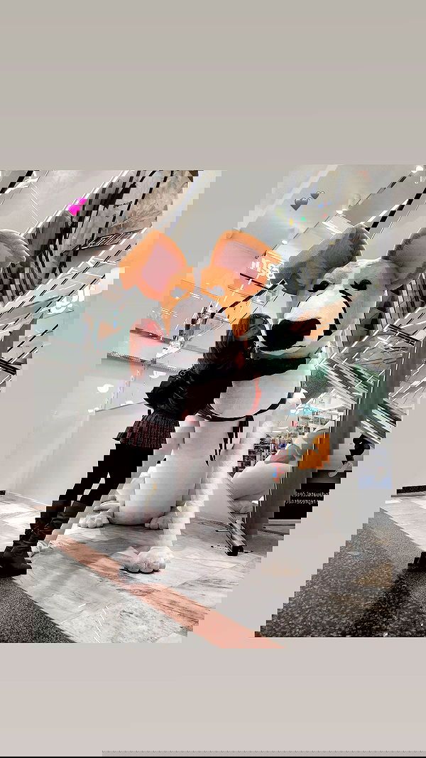 eveliniya eveliniya archive image