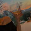 daxbin Altpins Profile Picture