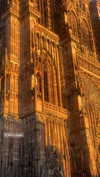 by.diwwa Altpins Profile Picture