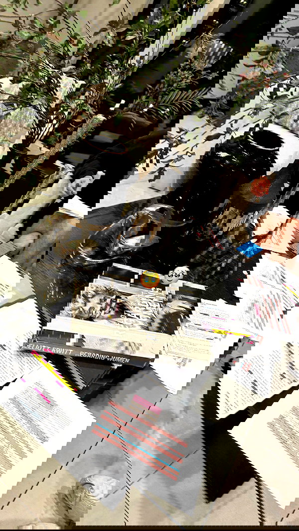 nevaaadaa nevaaadaa archive image