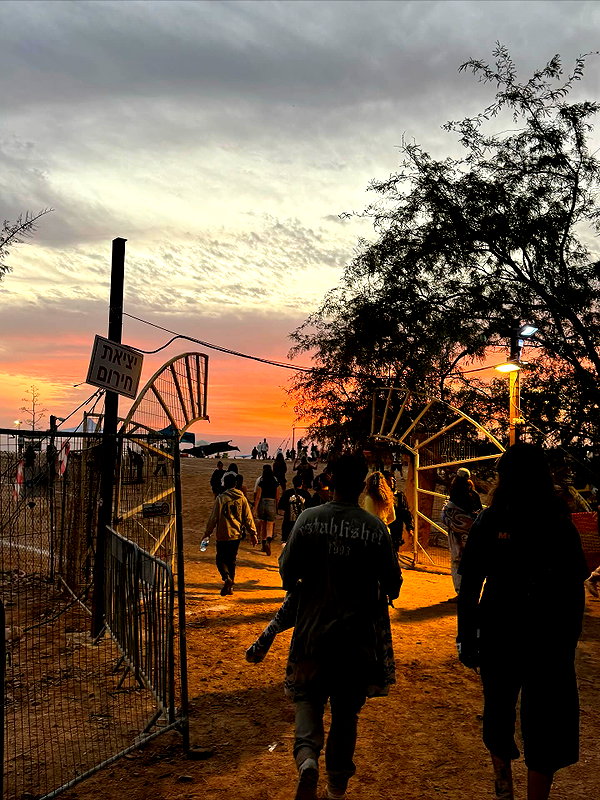 tamar_tsur instagram image archive image