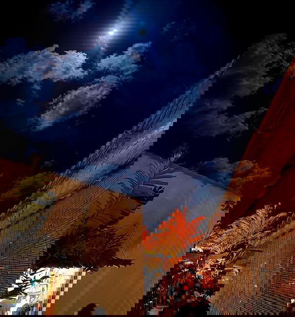 alexis.blond alexis.blond archive image