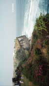 pia__kim Altpins Profile Picture