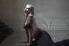 amellliiaa Altpins Profile Picture