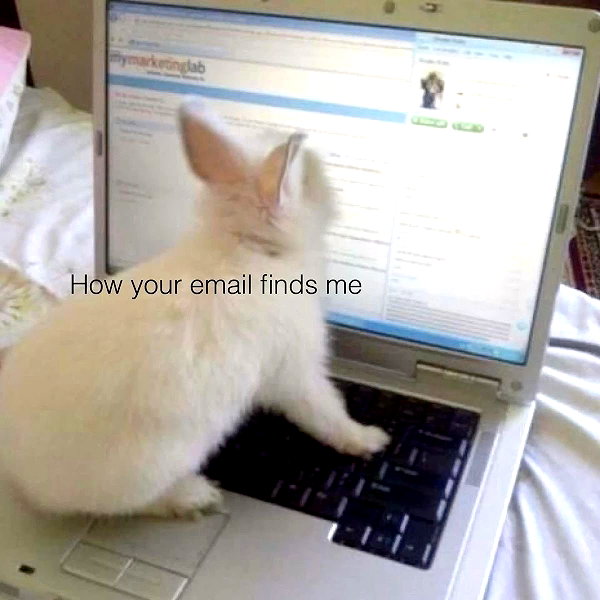 1uvgabi instagram image archive image