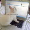 1uvgabi Altpins Profile Picture