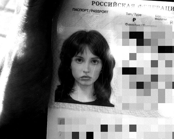dwpolin instagram image archive image