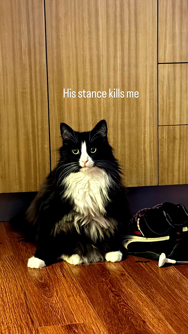sydney_melman instagram image archive image
