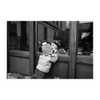 katehudson Altpins Profile Picture