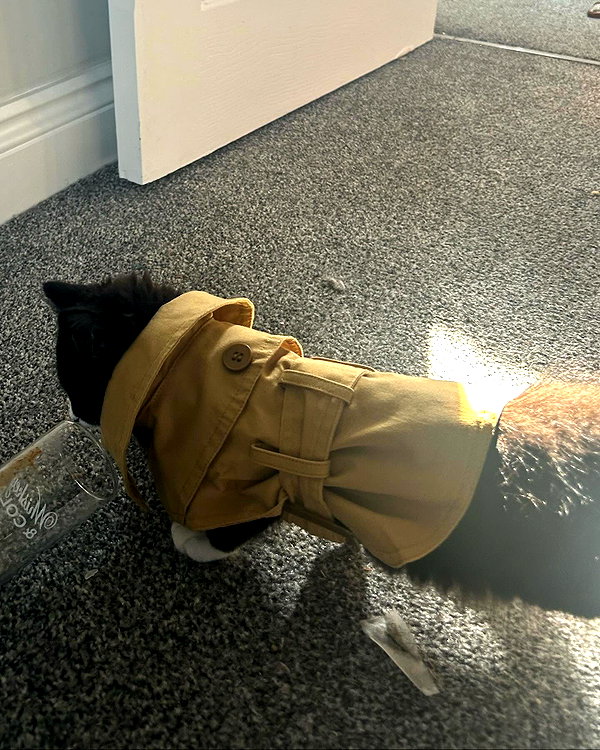 charley.chambers instagram image archive image