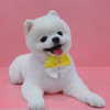 dear.zia Altpins Profile Picture