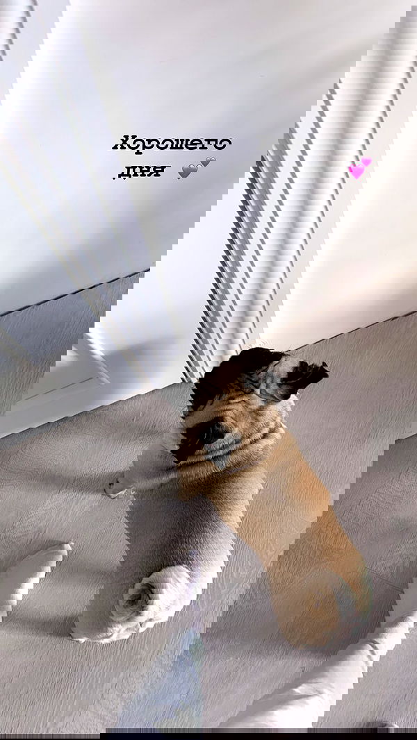 nyityam nyityam archive image