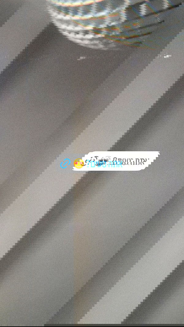 iambohema.v2 iambohema.v2 archive image