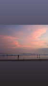 michalcohen___ Altpins Profile Picture