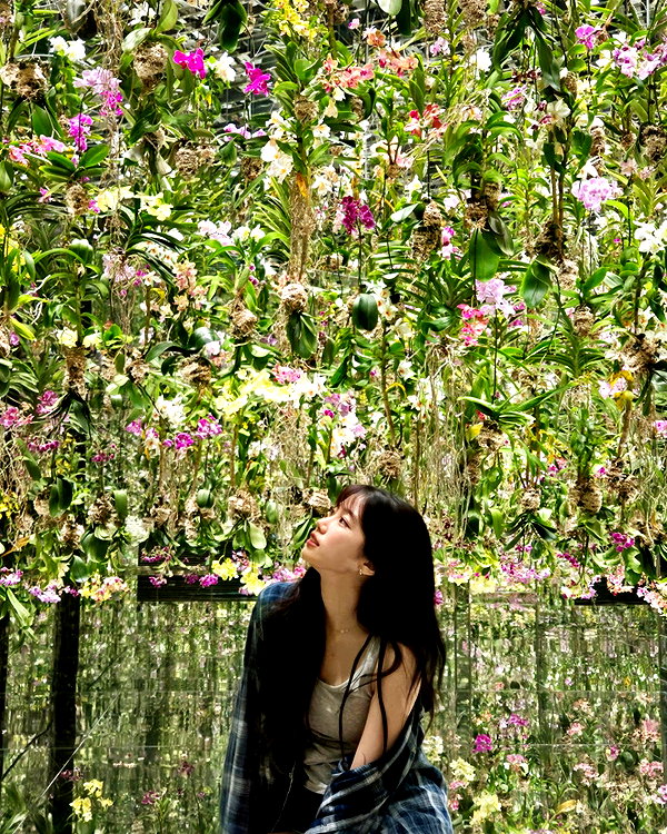 zuhazana instagram image archive image