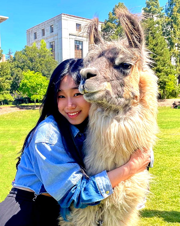 shulunc instagram image archive image