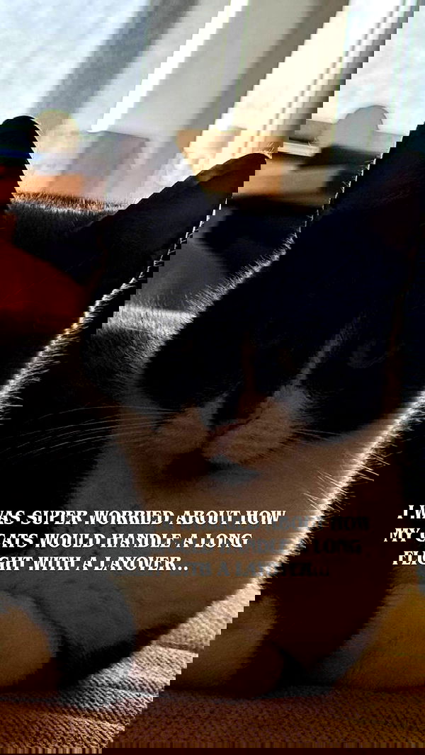 vive.la.lucy vive.la.lucy archive image