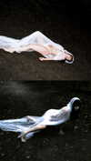 suspiria.em Altpins Profile Picture
