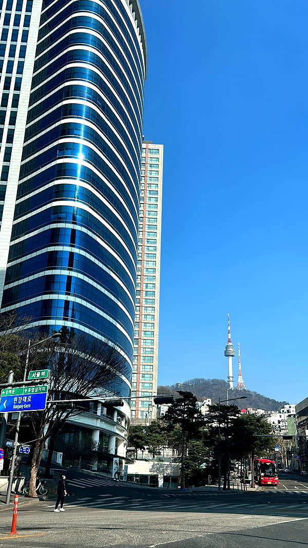elsgatti instagram image archive image