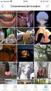 leanxhrt Altpins Profile Picture