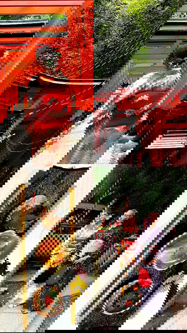 taylor.creeden taylor.creeden archive image