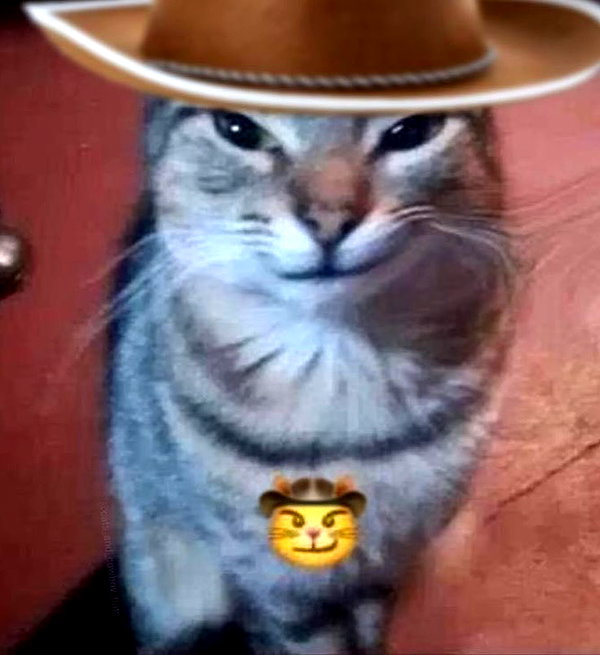 ambrzinha666 instagram image archive image