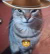 ambrzinha666 Altpins Profile Picture