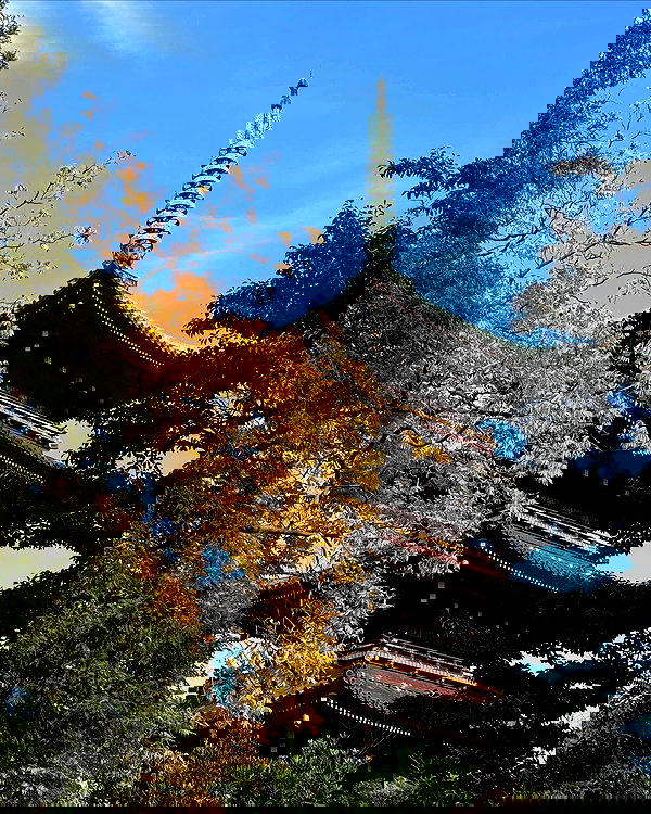 tamagotkri tamagotkri archive image