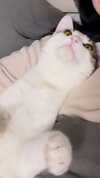 yuna_1_27 Altpins Profile Picture