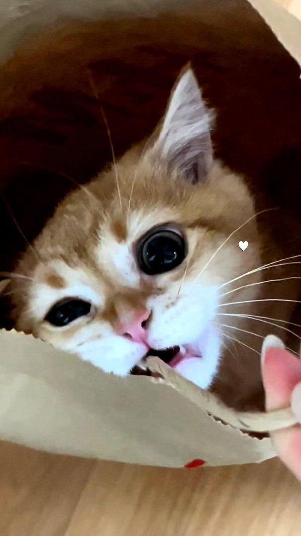s0meii0 instagram image archive image