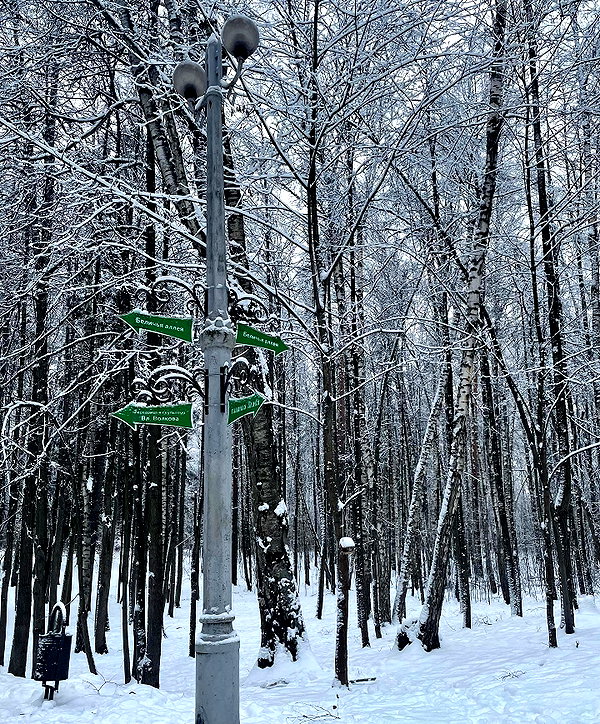 lerkamiill instagram image archive image
