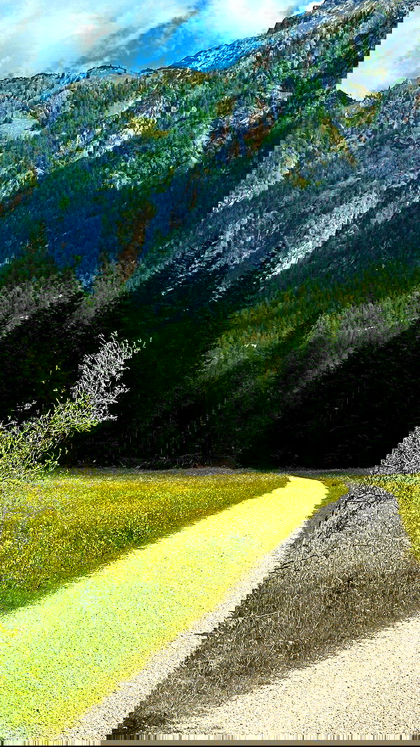 taylor.creeden taylor.creeden archive image