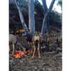 ashleybenson Altpins Profile Picture