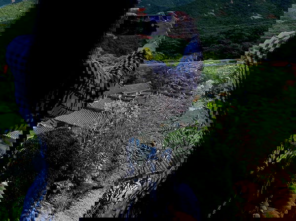 laurinchhhe laurinchhhe archive image