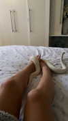 curlyfriesjazz Altpins Profile Picture
