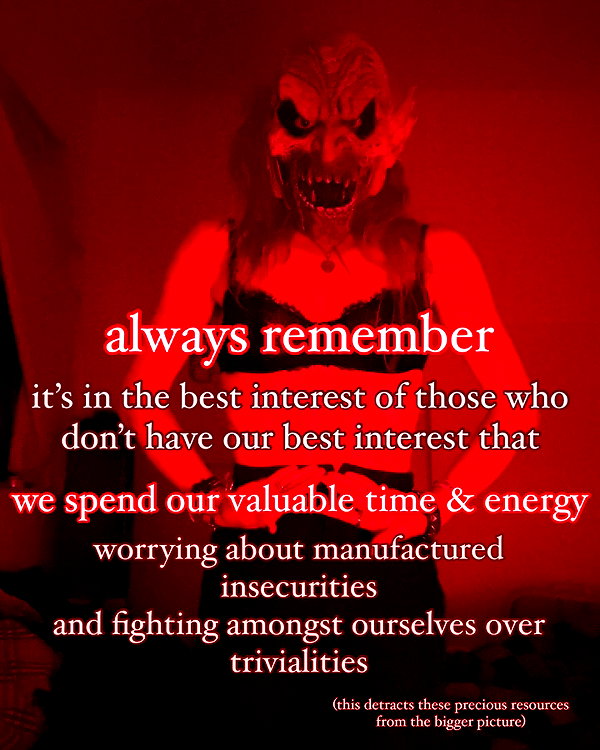 bugz4brainz instagram image archive image