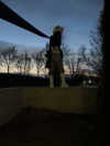 astarwbry_ Altpins Profile Picture