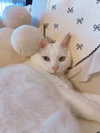auddk_77 Altpins Profile Picture