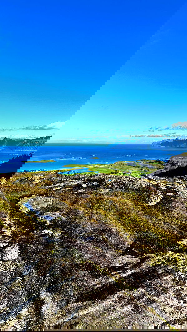 taylor.creeden taylor.creeden archive image