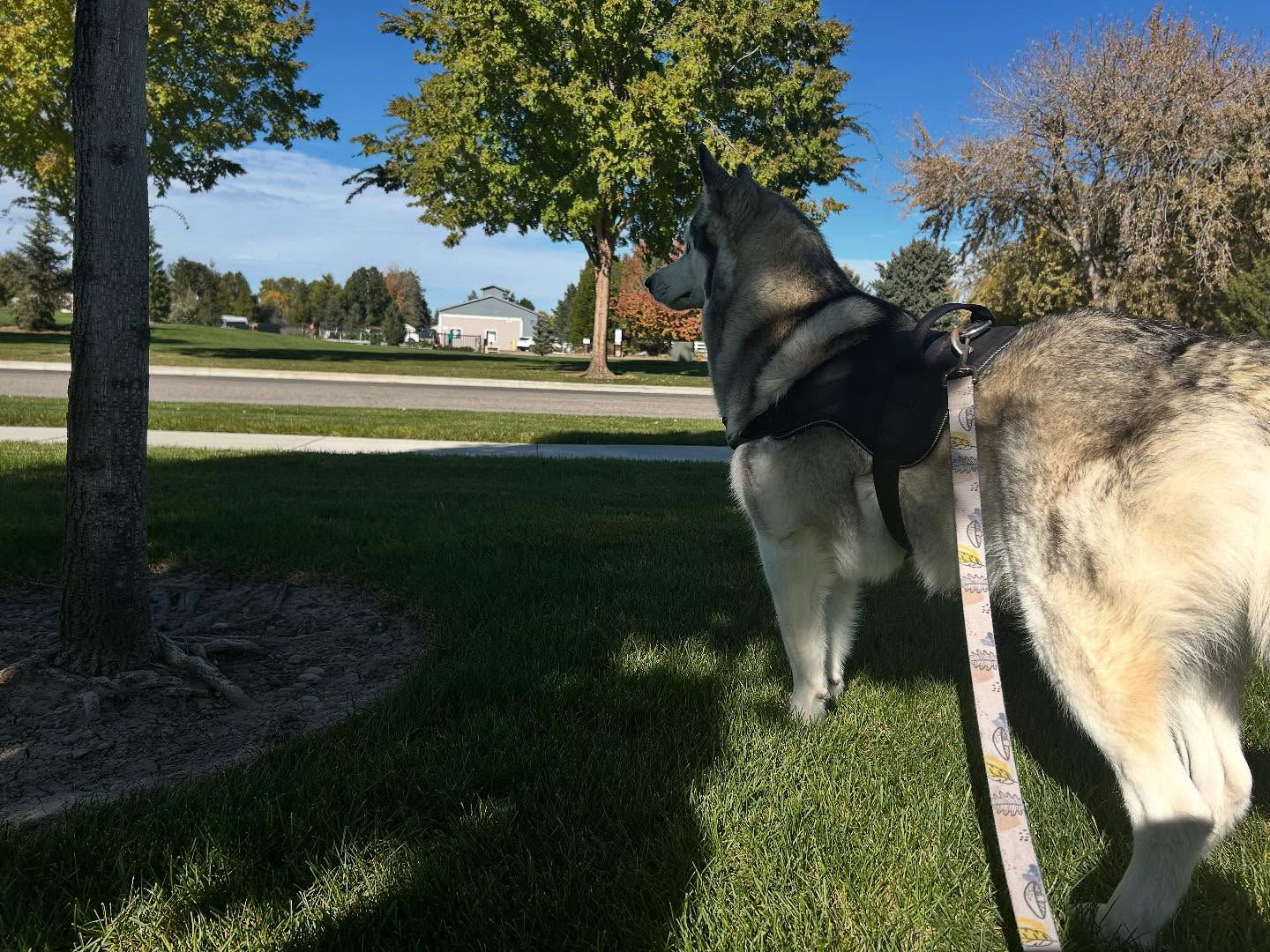 _animechika_ instagram image archive image