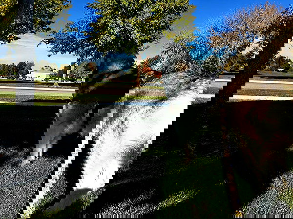 _animechika_ image ~ Altpins