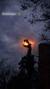 rott3nbambi Altpins Profile Picture