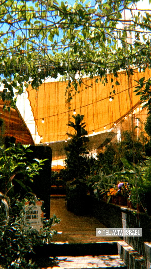 yaelxyazdi instagram image archive image